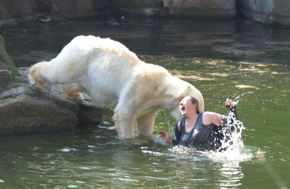 Sarah Palin versus Polar Bears