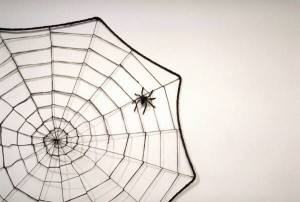web web
