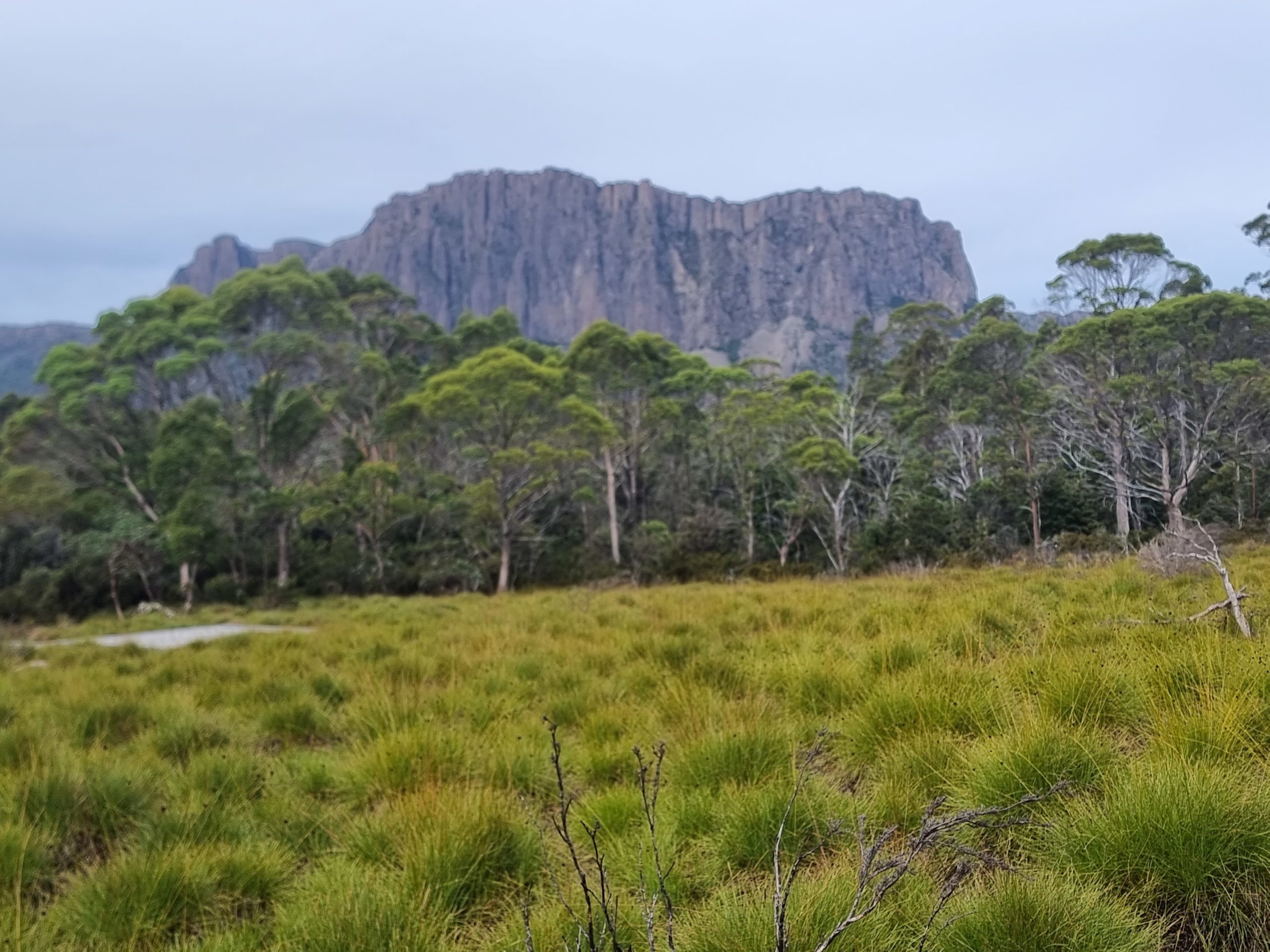 Hiking the Overland Track in Tasmania