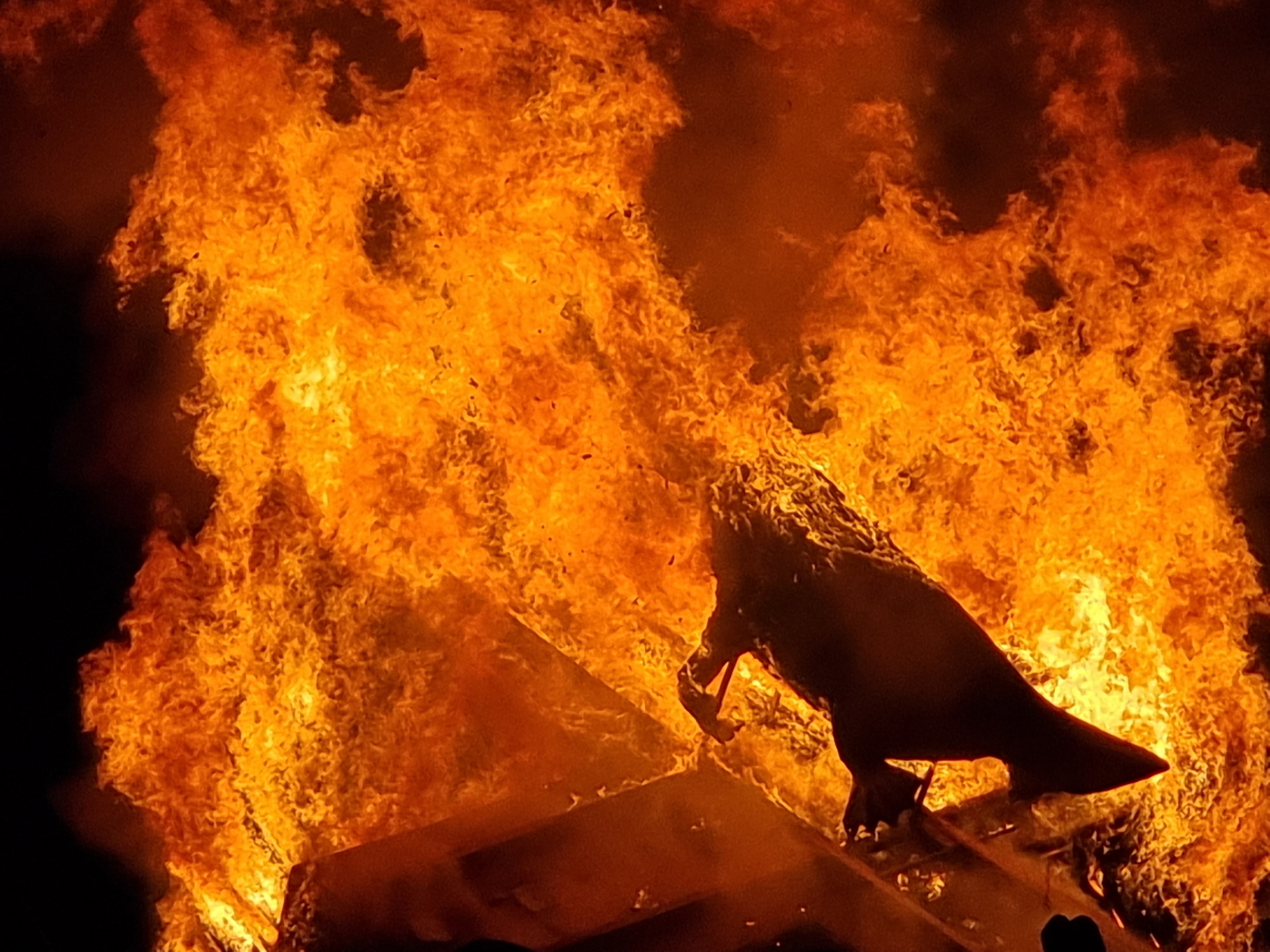 Dark Mofo: A Rendezvous with the darkness