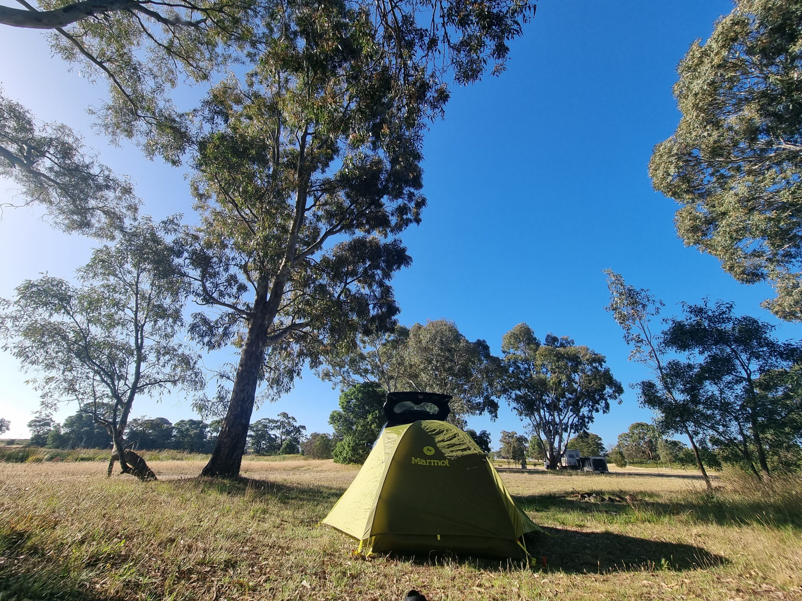 Kangaroo highway: A journey through Australia’s Christmas landscape