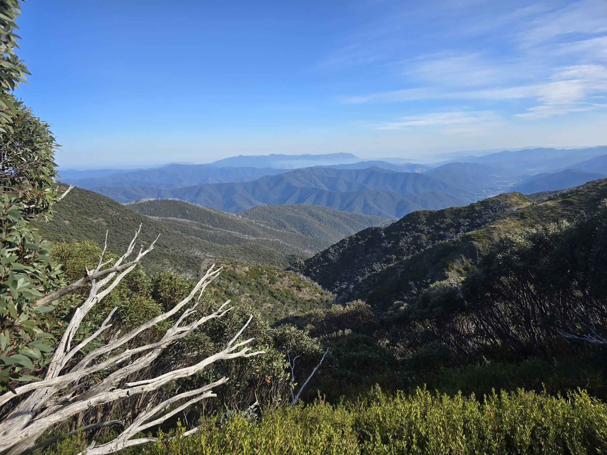 Hiking Mt Feathertop via Razorback