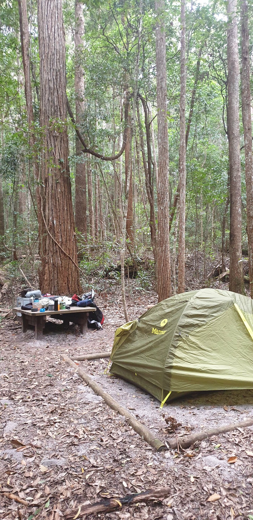 Hiking Fraser Island, Queensland in Winter