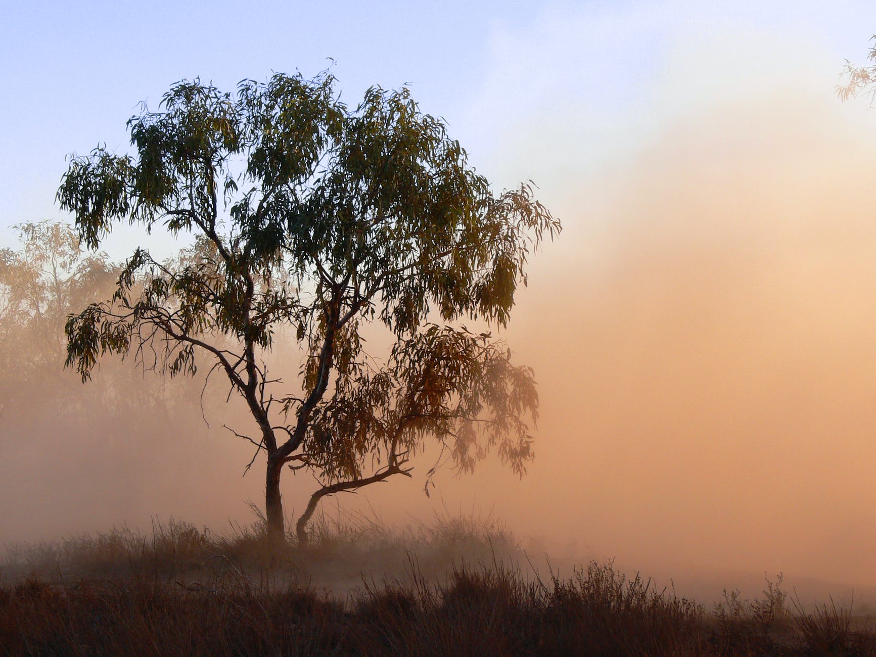 Riding the Menindee Lakes and the Darling River Run, Australia