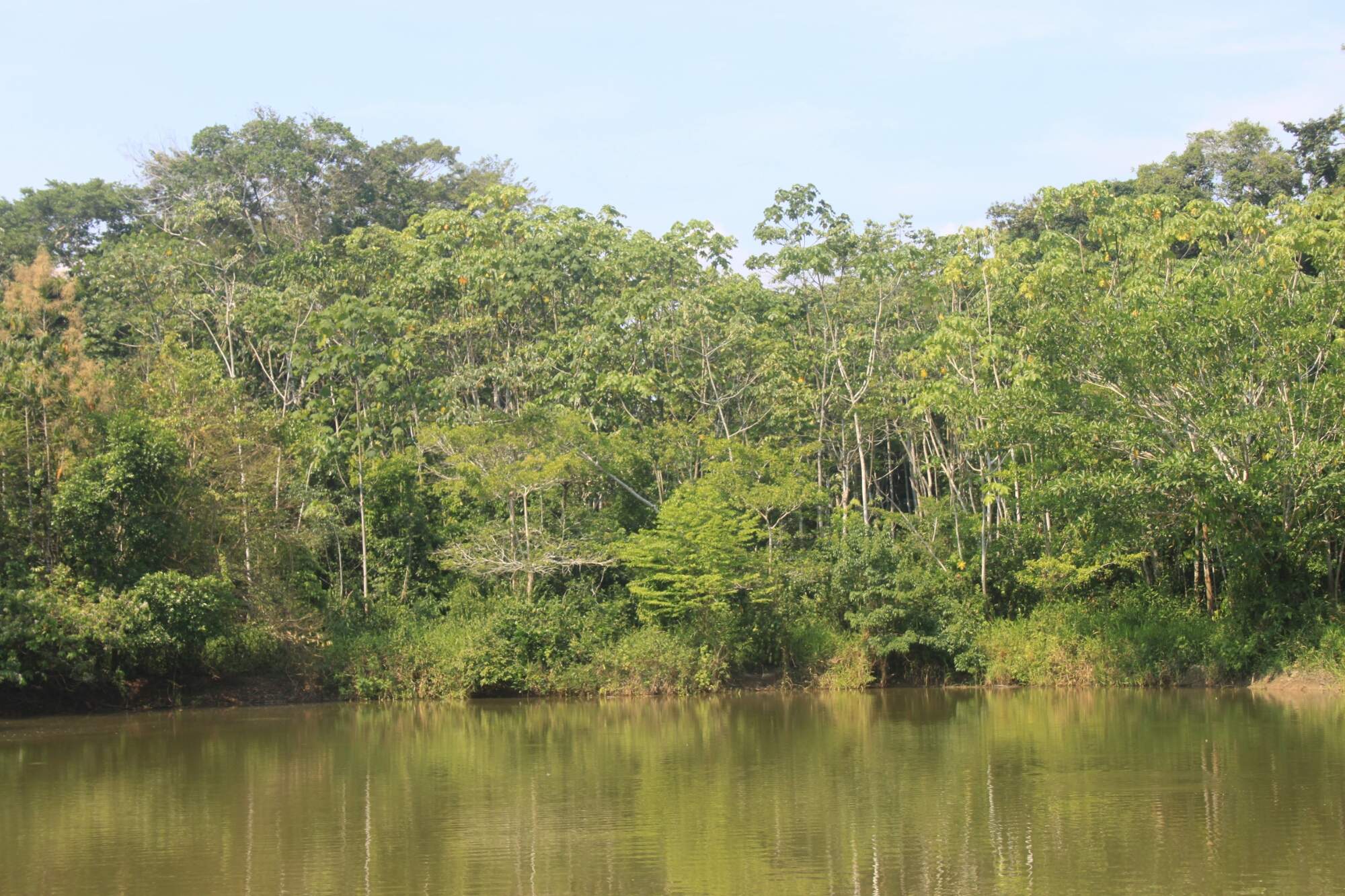 Riding the Interocianic highway into the Peruvian Amazon [37/50]