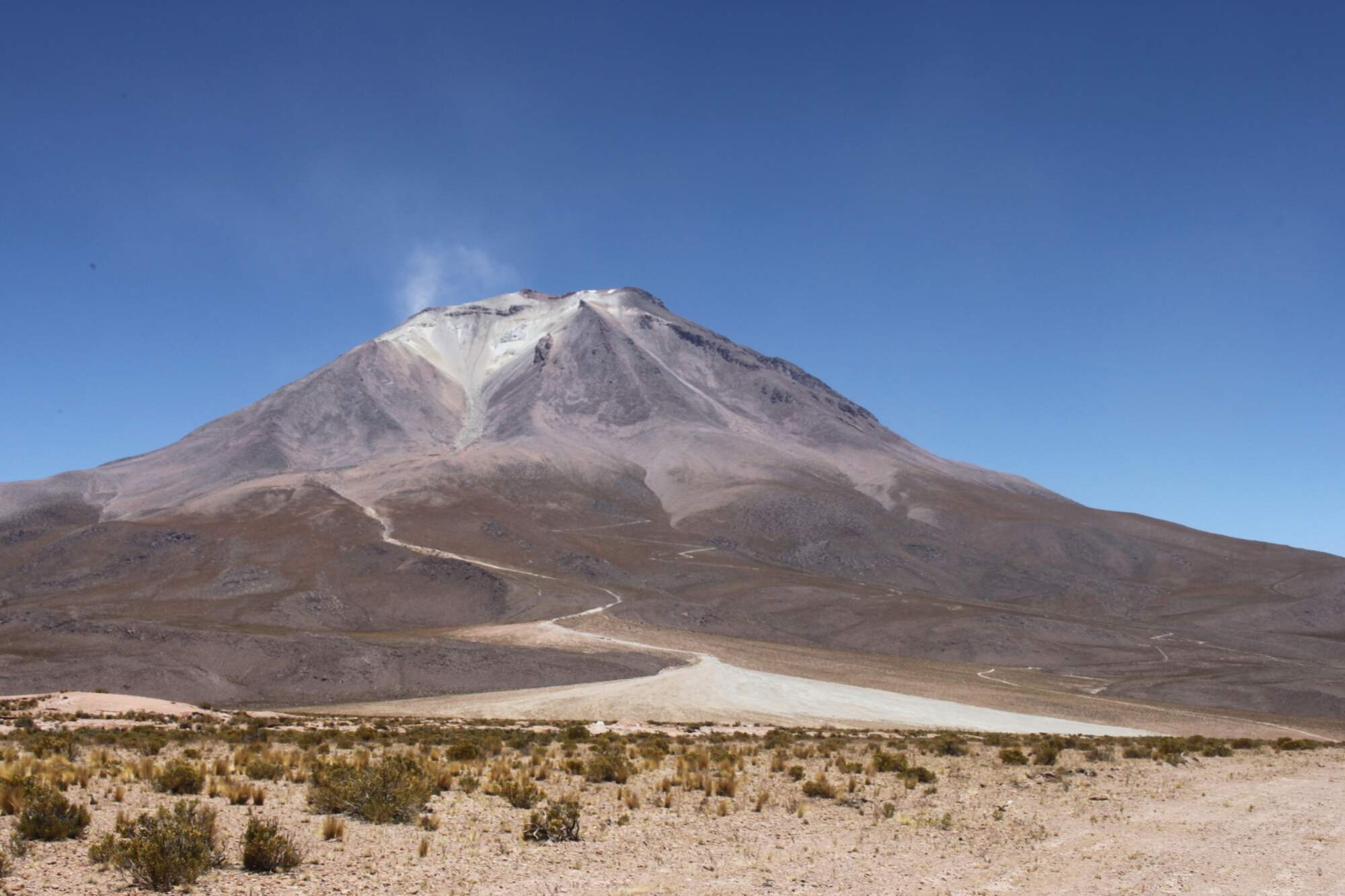 The Chilean Atacama Desert, let a hundred flowers blossom [45/50]