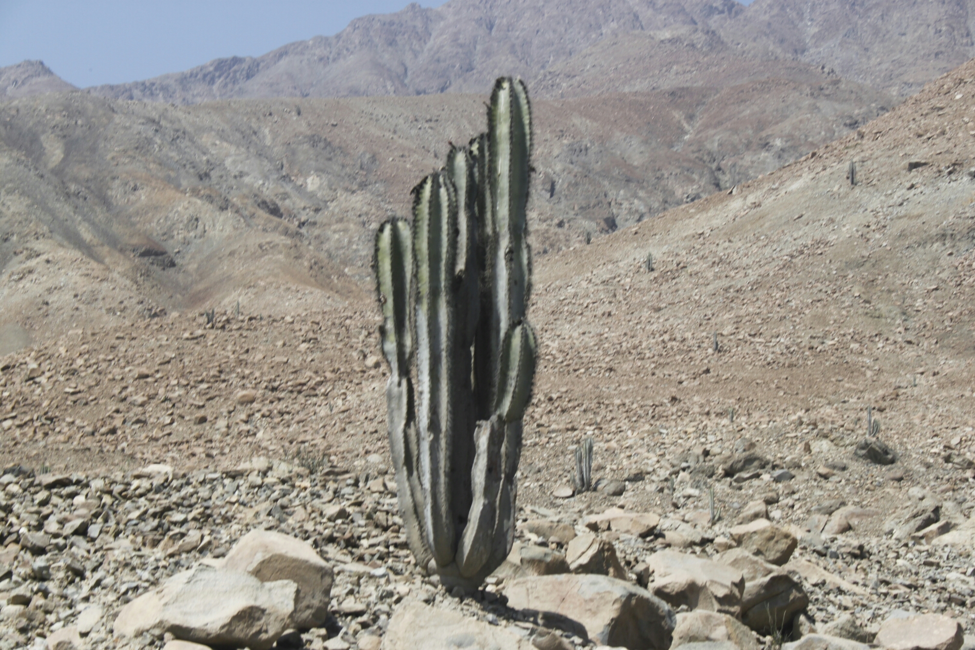 Riding Peru’s Canon del Pato, the World’s most dangerous road! [31/50]