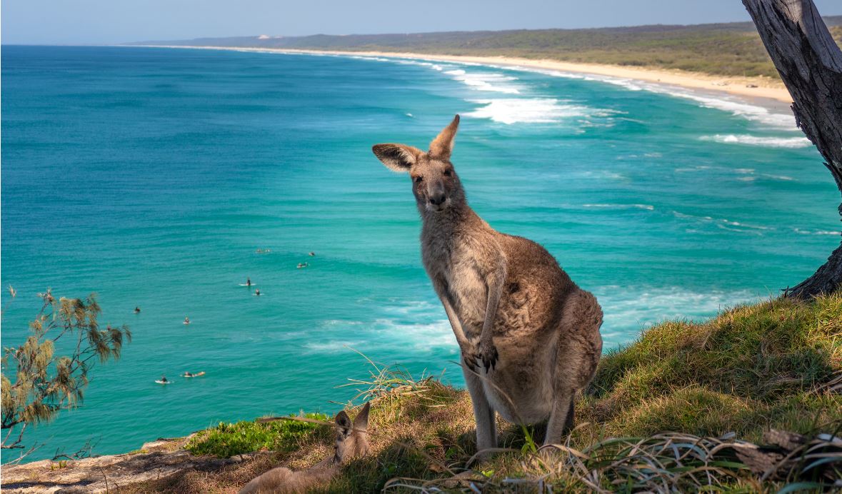 Road trip to Kangaroo Island